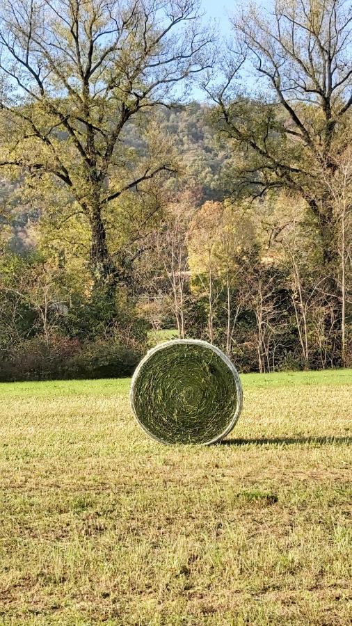 Corte Martinola Bed&Breakfast In Franciacorta Ome Bagian luar foto